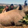 14.07.2017 / Lüksemburglu Avcılar Tokat’ta 350 Kilo Ağırlığında Domuz Avladı