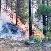 30.06.2017 / Alanya’da Orman Yangını