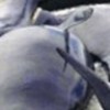 23.01.2012 / 99 Balina İntihar Etti