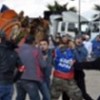 08.01.2012 / Develer Güreşti, Sahipleri Kavga Etti!