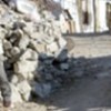 19.01.2012 / 'Ayısavar Robot!'