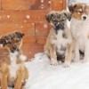 10.01.2012 / Kars Değil Muğla