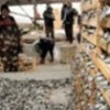 06.02.2012 / 15 Ton Sardalye Avladılar
