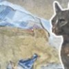 15.02.2012 / 2000 Yıllık Mumya Kedi