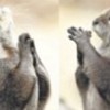 18.02.2012 / Allahım N'olur Bir Balık Ver!
