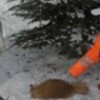 01.02.2012 / Örnek Davranış