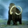 14.02.2012 / Sibirya'da Tüylü Mamut Görüntülendi!