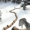 15.02.2012 / Uygun Adım Marş!