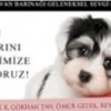 07.02.2012 / Ünlü İsimler Buluşacak