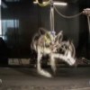 06.03.2012 / Koşan Robot 'Çita' Hız Rekoru Kırdı