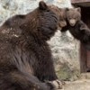 06.03.2012 / Yavrusuna Öyle Bir Ceza Verdi ki