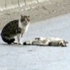 02.03.2012 / Vefa Örneği!