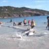 08.03.2012 / İnsanlığın Ölmediğini Gösteren O Anlar