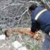 01.04.2012 / Bunu Yapan İnsan Olamaz!