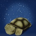 Tavana Işık Yansıtan Kaplumbağa-4