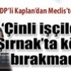 31.05.2012 / Hasip Kaplan: Güneydoğu'da Köpek Kalmadı