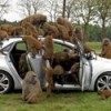 01.05.2012 / Hyundai i30