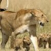 21.06.2012 / Şehre İndiler!
