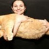 01.06.2012 / En Şişman Kedi Diyette!