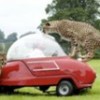 17.07.2012 / Safaride Korku Anları