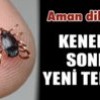 03.06.2012 / Keneden Sonra Yeni Tehlike!