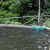15.06.2012 / Bu da 'Ayı Kaçırıcı'