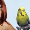 12.04.2012 / Terbiye Edeyim Derken...