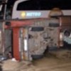 03.07.2012 / FSM'de Arı Paniği!