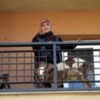 02.10.2012 / Köyüne Dönmek İsteyen Köylü Apartmana Buzağısını Çıkardı