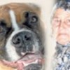 14.01.2012 / Oğlunun İki Köpeği Parçalayarak Öldürdü
