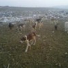 03.12.2011 / Şarköy Belediyesinin Katliamı!