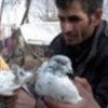 11.12.2011 / 9 Kişilik Aileyi Kuşlar Kurtardı