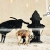 28.12.2013 / Banksy New York Sokaklarında