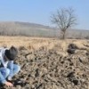 21.01.2014 / Kuraklık Hububatı Fena Vurdu