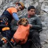 21.02.2014 / 3 Gün Mahsur Kalan Köpeğin İmdadına AFAD Yetişti