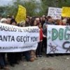25.02.2014 / Antalyalılar Phaselis İçin Tek Yürek Oldu