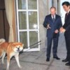09.02.2014 / Putin'e Köpek Muhalefeti
