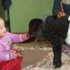 22.01.2014 / Evin Dördüncüsü Zeytin