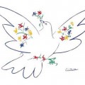 Pablo Picasso / Barış Güvercini