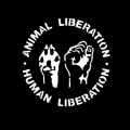 Hayvanların Özgürlüğü, İnsanların Özgürlüğü Anlamına Gelir!