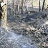 22.09.2017 / 20 Hektar Kızılçam Ormanı Yandı