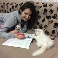26.12.2017 / Esra Melek Taşpınar Kedisiyle Ders Çalışırken