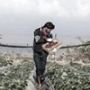 04.03.2018 / İsrail, Gazze Sınırındaki Arazilere Kimyasal İlaç Püskürttü