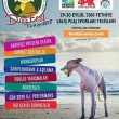 29.09.2018 / DogFest Türkiye 2018