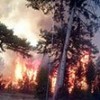 05.09.2017 / Bolu’daki Orman Yangını İle İlgili Korkunç Şüphe!