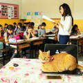 Tombi Sınıfta Öğretmeni Özlem Pınar İvaşçu'yu Dinlerken