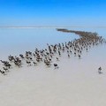 Tuz Gölü Giderek Küçülüyor