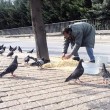 Kuşları Her Gün Düzenli Olarak Besleyen Mehmet Adıgüzel