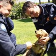 Muğla Dalyan'da Çıkan Yangında 'Pamuk' ve 'Şeker' İsimli Köpekleri Kurtaran Kahraman İtfaiye Erleri Selçuk Acar ve Samet Aslan