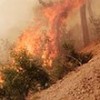 17.08.2020 / Adana’da Orman Yangını